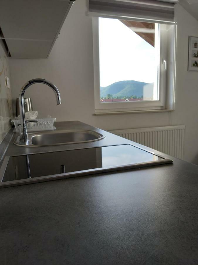 Apartmani Brigita Korenica Εξωτερικό φωτογραφία